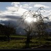 20120419_001
